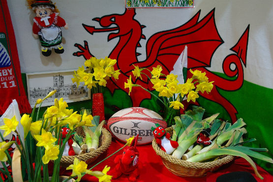 Wales Symbols
