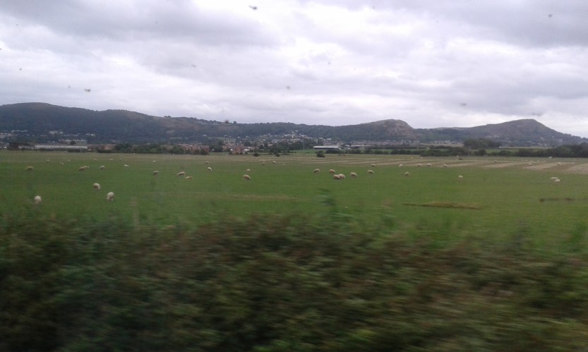 8Anglesey (15)