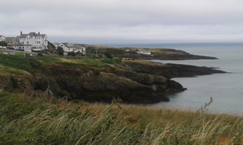 8Anglesey (65)