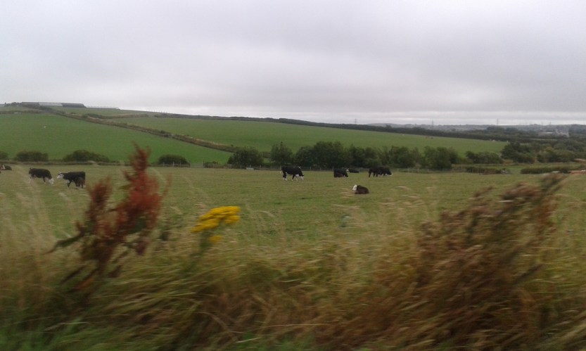 8Anglesey (72)